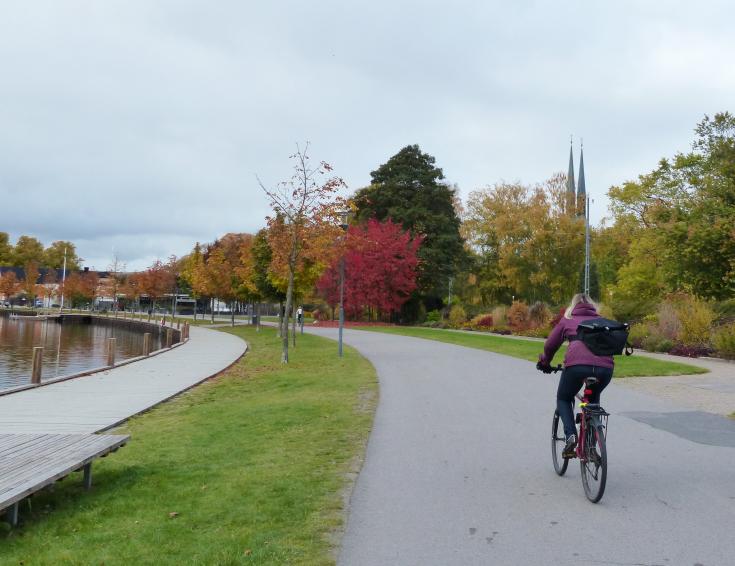 Person biking down road next to river